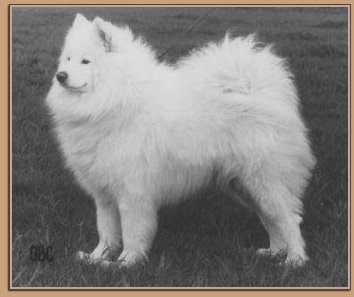 Margeaux