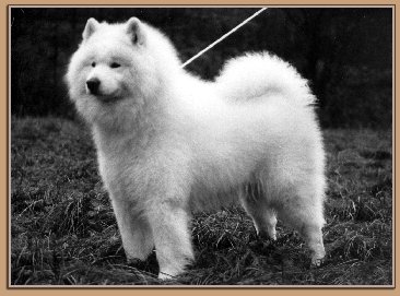 Victorio
