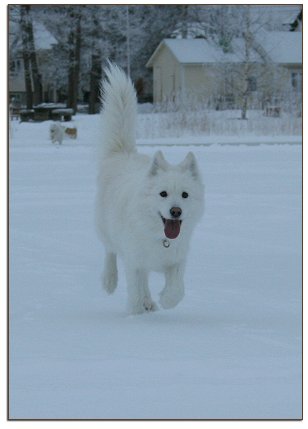 Daisy, 5 years