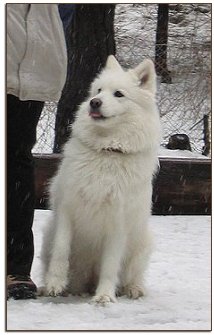 Daisy, 3 years