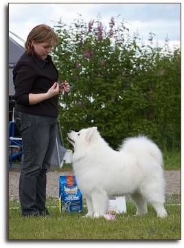 Linda at the Speciality Show