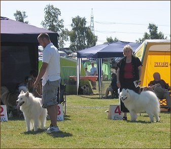 Junior and Intermediate male