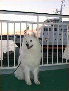 Ronja on the boat