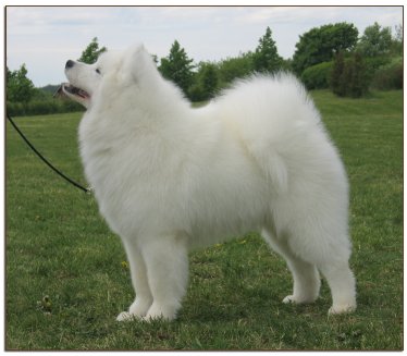 Primo 7 months