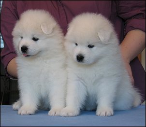 Two boys
