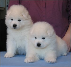 Two boys