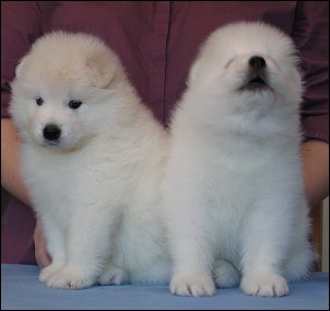 Two boys