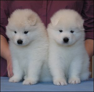 Two boys