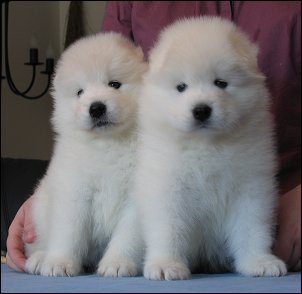Two boys