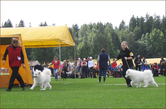 Rlli in Puppy Show 2005