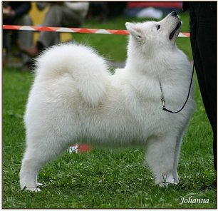 Ronja, 4 years
