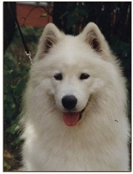 Ronja, 16 mos
