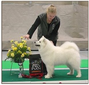 Ronja Group 3rd