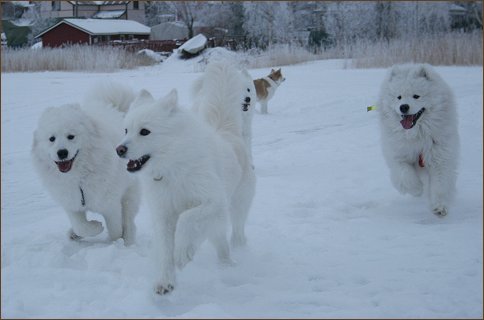 All together!