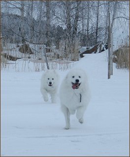 I'll catch ya!