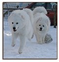 Winter fun!