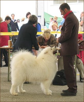 Tulln 2005