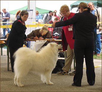 Tulln 2005