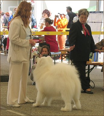 Tulln 2005