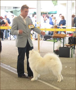 Tulln 2005