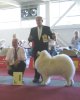Euro Dog Show 2007