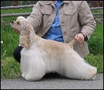 Gilda