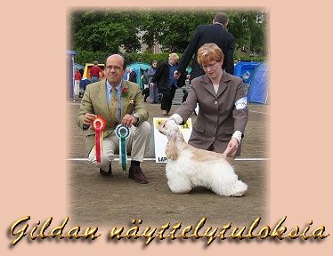 Gildan nyttelytuloksia