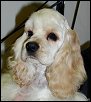 Gilda
