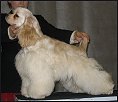 Gilda