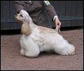 Gilda