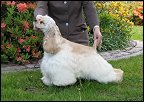 Gilda