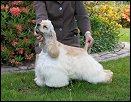 Gilda