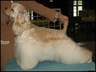 Gilda