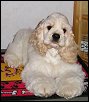 Gilda