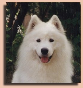 Ronja