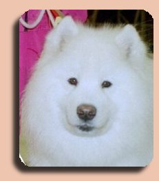 Tosca