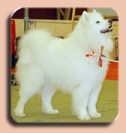 Tosca