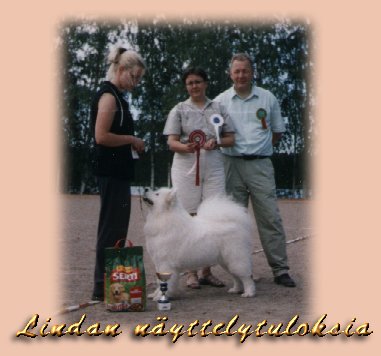 Lindan nyttelytuloksia