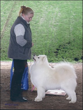 Tara BIS Veteraani, Hamina 2004