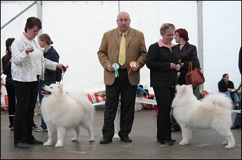 Tara ROP, Tartto 2005