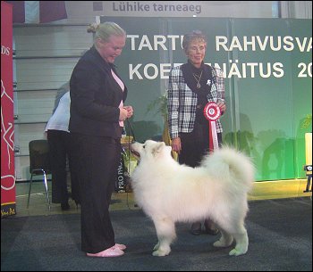 Tara BIS Veteraani, Tartto 2005