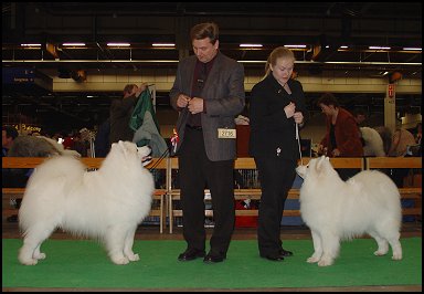 Voittajat 2003