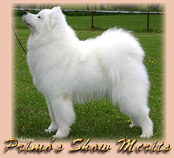 Primo's Show Merits