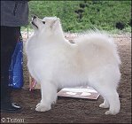 Tara